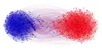 An empirical investigation of network polarization